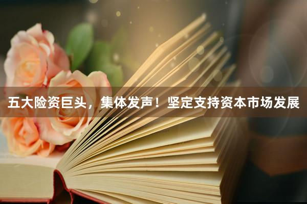 五大险资巨头，集体发声！坚定支持资本市场发展