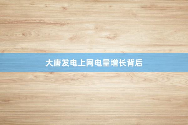 大唐发电上网电量增长背后