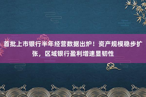 首批上市银行半年经营数据出炉！资产规模稳步扩张，区域银行盈利增速显韧性