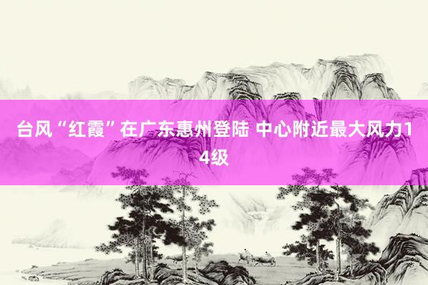 台风“红霞”在广东惠州登陆 中心附近最大风力14级