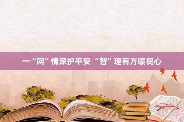 一“网”情深护平安 “智”理有方暖民心