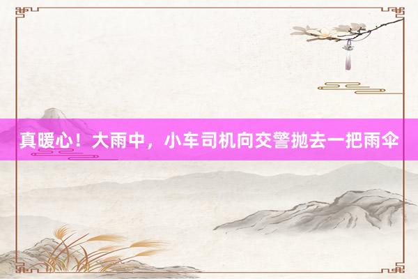 真暖心！大雨中，小车司机向交警抛去一把雨伞