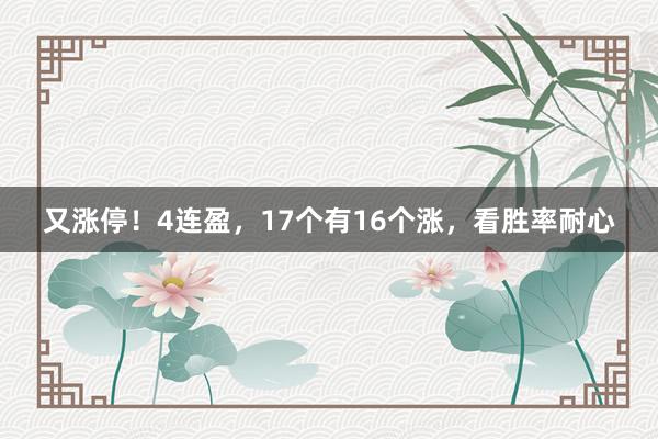 又涨停！4连盈，17个有16个涨，看胜率耐心