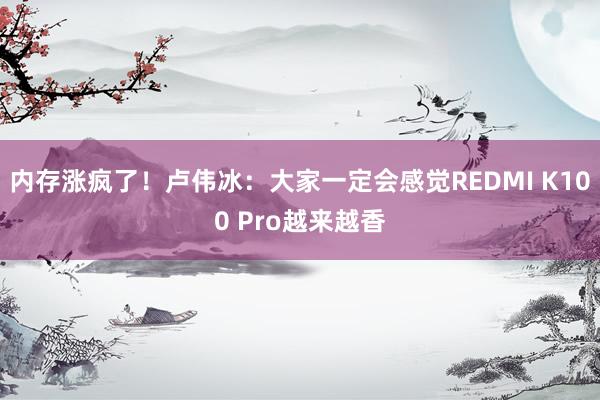 内存涨疯了！卢伟冰：大家一定会感觉REDMI K100 Pro越来越香