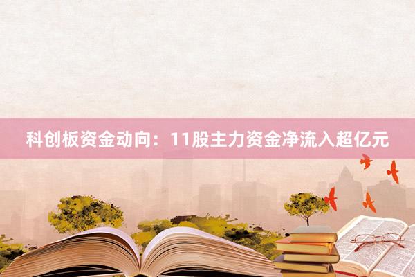 科创板资金动向：11股主力资金净流入超亿元
