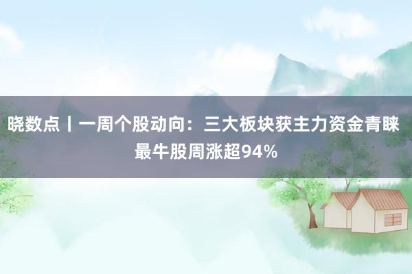 晓数点丨一周个股动向：三大板块获主力资金青睐 最牛股周涨超94%