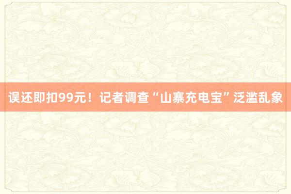 误还即扣99元！记者调查“山寨充电宝”泛滥乱象