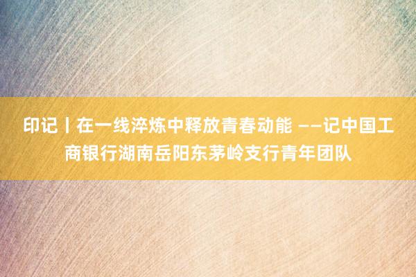 印记丨在一线淬炼中释放青春动能 ——记中国工商银行湖南岳阳东茅岭支行青年团队