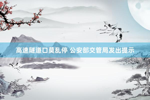 高速隧道口莫乱停 公安部交管局发出提示