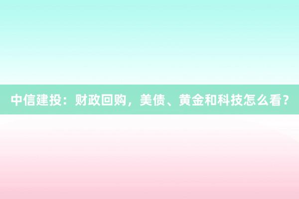 中信建投：财政回购，美债、黄金和科技怎么看？