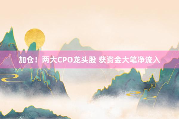加仓！两大CPO龙头股 获资金大笔净流入