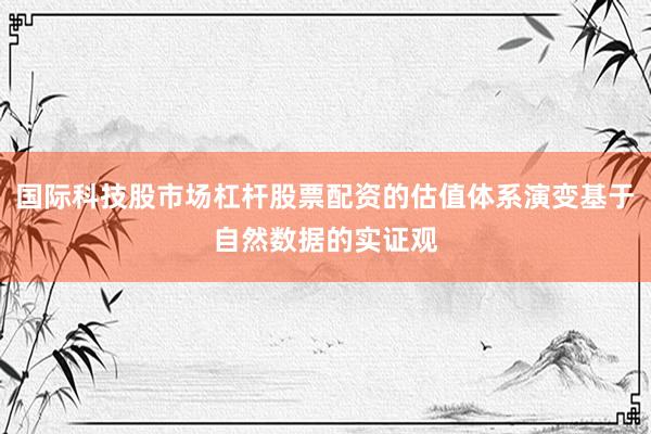 国际科技股市场杠杆股票配资的估值体系演变基于自然数据的实证观