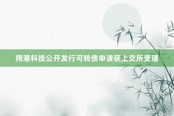 翔港科技公开发行可转债申请获上交所受理