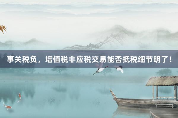 事关税负，增值税非应税交易能否抵税细节明了！