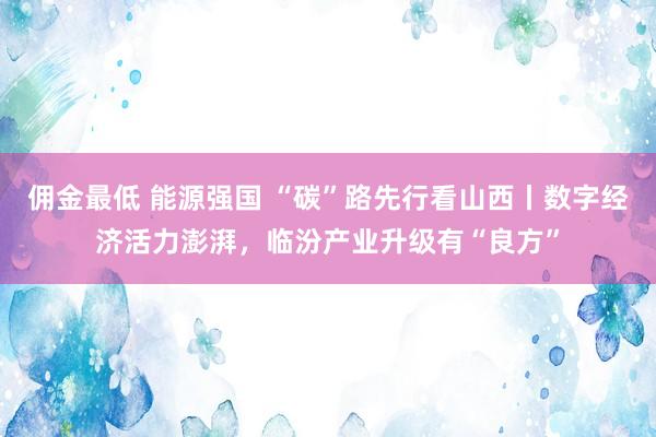 佣金最低 能源强国 “碳”路先行看山西丨数字经济活力澎湃，临汾产业升级有“良方”
