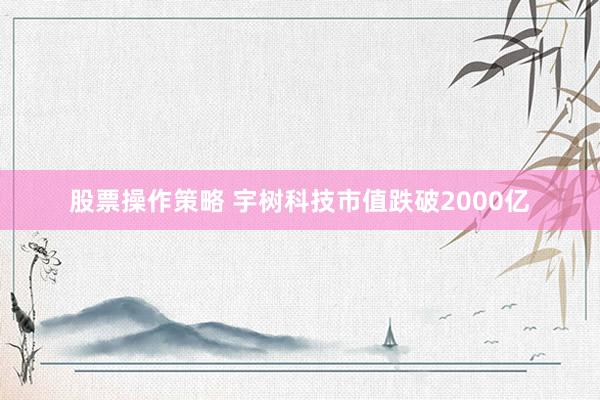 股票操作策略 宇树科技市值跌破2000亿