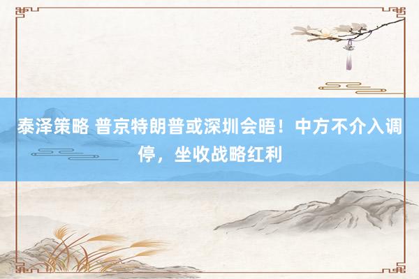 泰泽策略 普京特朗普或深圳会晤！中方不介入调停，坐收战略红利