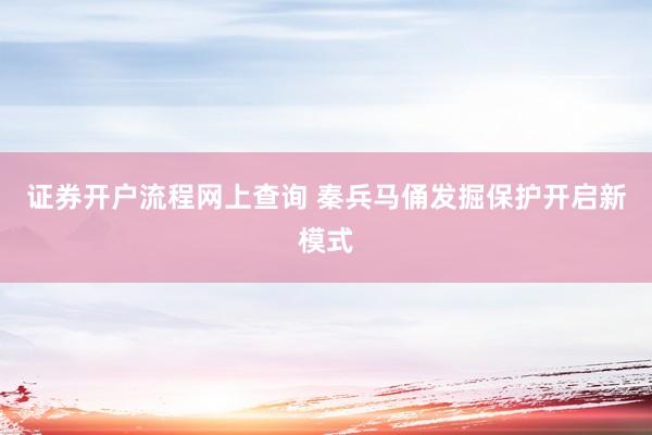 证券开户流程网上查询 秦兵马俑发掘保护开启新模式