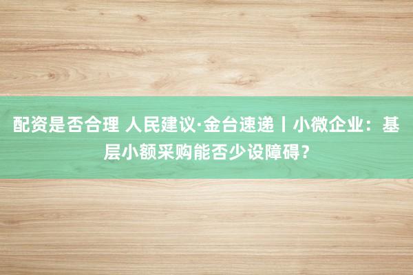 配资是否合理 人民建议·金台速递丨小微企业：基层小额采购能否少设障碍？