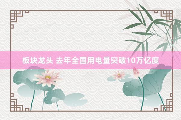 板块龙头 去年全国用电量突破10万亿度